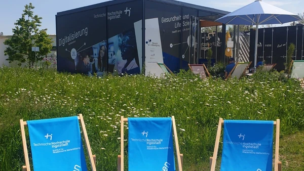 Liegestühle auf Wiese vor Pavillon